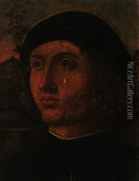 Portrat Eines Jungen Edelmannes Oil Painting - Lorenzo Di Credi