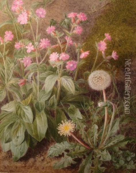 A Botanical Study Of Red Campions And Dandelions Oil Painting - Marian Emma Chase