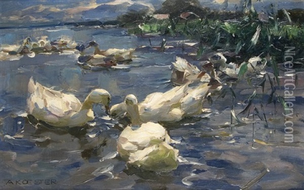Ducks In The Sunlight Oil Painting - Alexander Max Koester