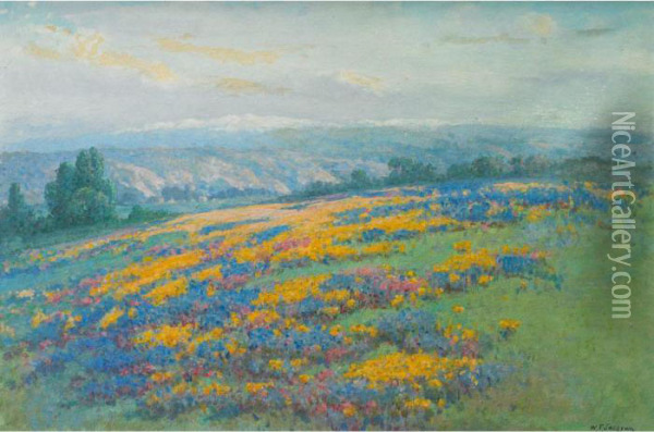 California Field Poppies Oil Painting - William Jackson