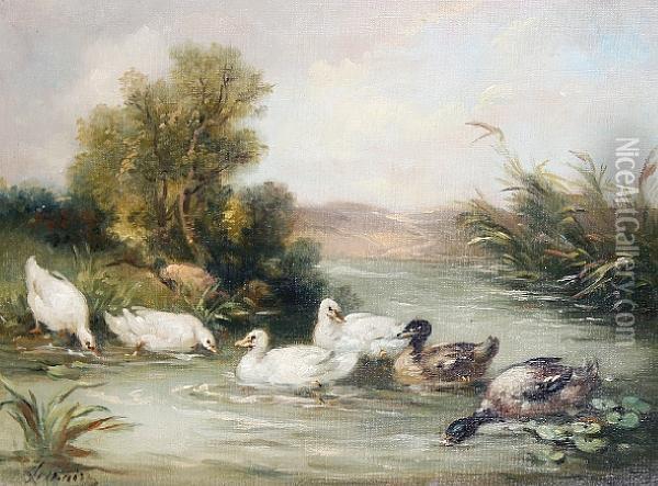 Ducks In A Pond Oil Painting - Louis Marie Lemaire