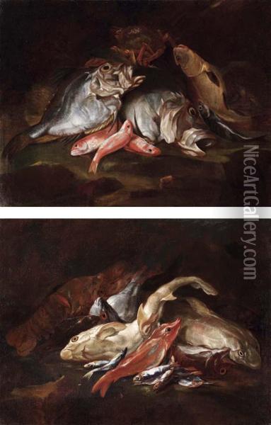 Nature Morte Di Pesci Oil Painting - Angelo Maria Crivelli, Il Crivellone