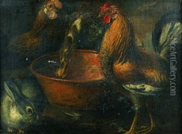 Poules, Canard Et Lapin Oil Painting - Domenico Brandi