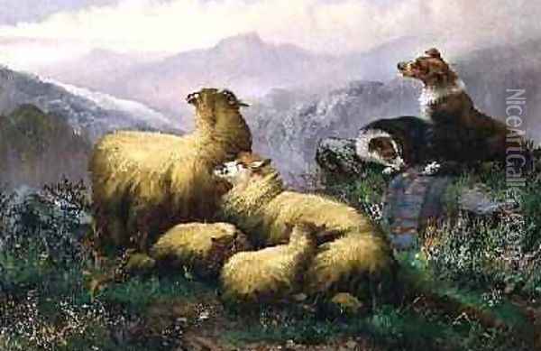 Sheep Dogs and Sheep in the Scottish Highlands Oil Painting - J.W. Morris
