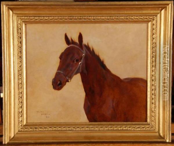 Portrait Of A Horse Oil Painting - Arthur Wardle