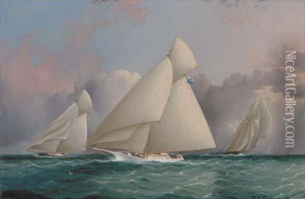 Yacht 'sappho' Beating To Windward Oil Painting - James E. Buttersworth