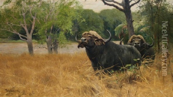 Deux Buffles Dans La Savane Oil Painting - Wilhelm Friedrich Kuhnert