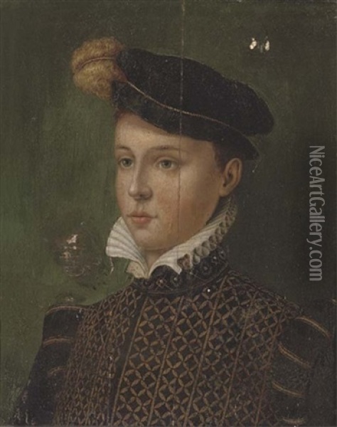 Portrait Of A Boy In A Black Plumed Cap And A Gold Embroidered Black Doublet Oil Painting - Antonis Mor Van Dashorst