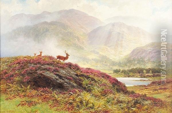 Deer By A Loch Oil Painting - Charles Stuart