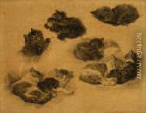 A Sketch Leaflet With Nine Sleeping And Playing Kittens Oil Painting - Henriette Ronner-Knip