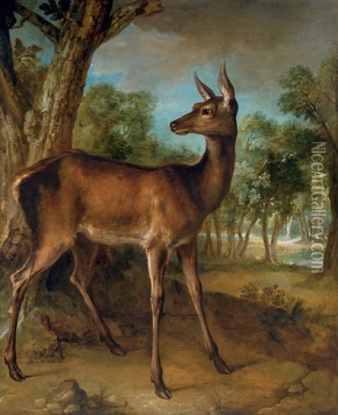 The Watchful Doe (biche Aux Augets) Oil Painting - Jean-Baptiste Oudry