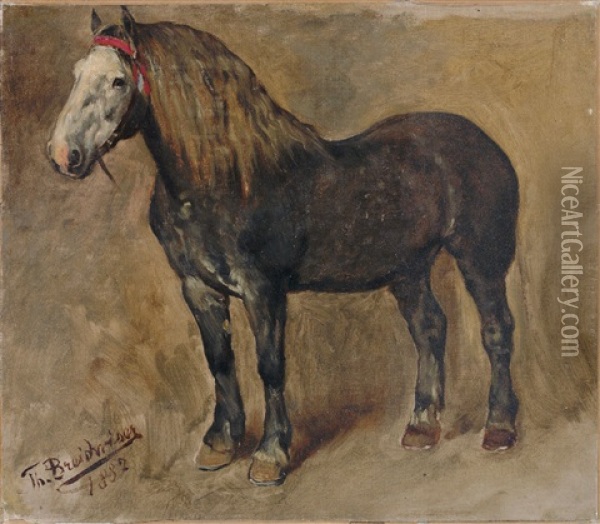 Portrait Eines Pferdes Oil Painting - Theodor Breitwieser