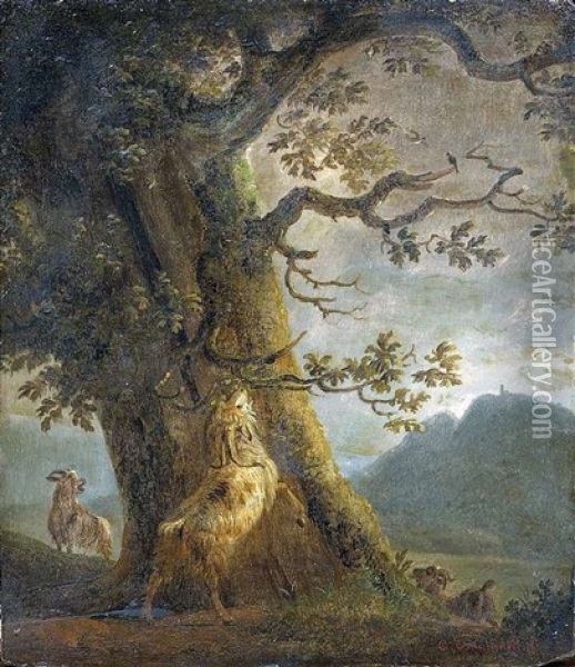 Widder Und Ziegen Unter Einem Eichenbaum Oil Painting - Balthasar Paul Ommeganck