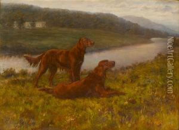 Irish Setters In A Landscape Oil Painting - Maud Earl