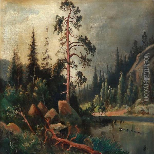 Forest Scene With A Lake Oil Painting - Olaf Viggo Peter Langer