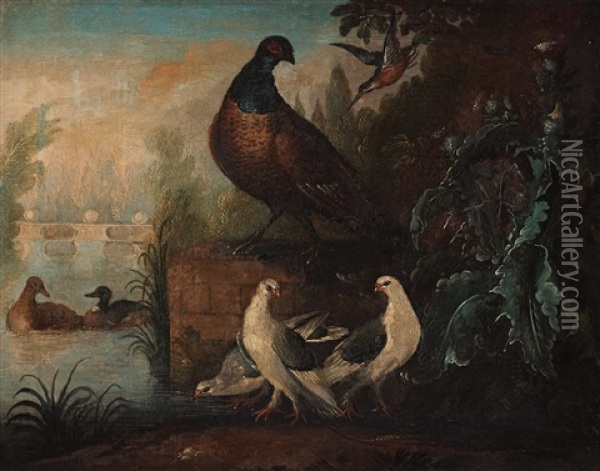 A Hummingbird, A Pheasant, Pigeons And Ducks Oil Painting - Marmaduke Cradock