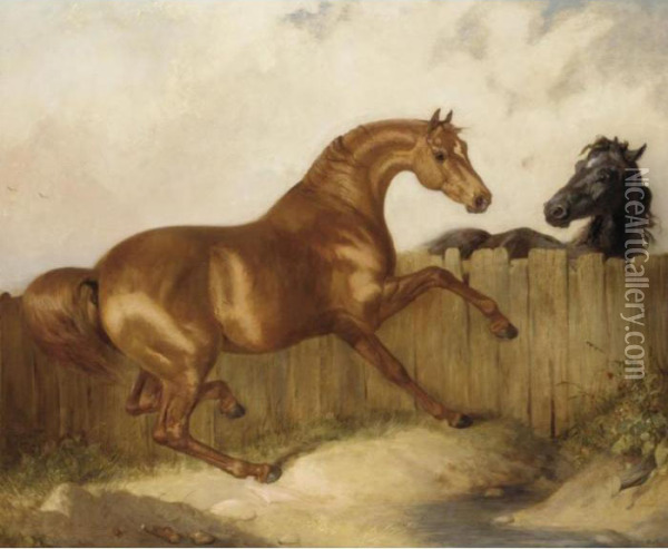 A Black Horse And Chestnut Horse Oil Painting - James Ward