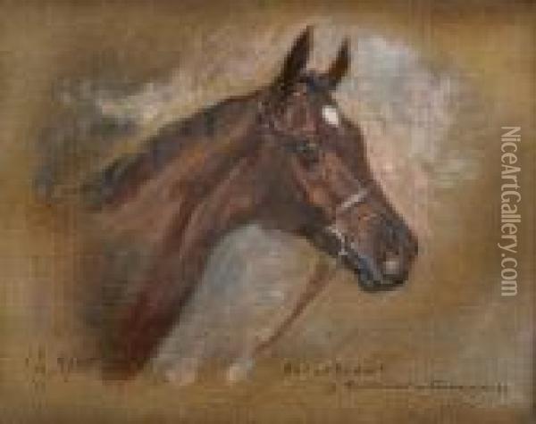 Covertcoat By Harckter - Cinnamon, Portrait Ofa Horse's Head With White Star Oil Painting - John Beer