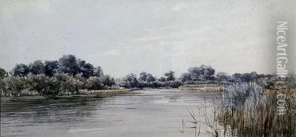 Broadland River Landscape Oil Painting - Stephen John Batchelder