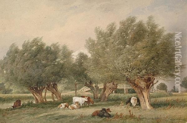 Cattle In A Rural Landscape Oil Painting - Edward Duncan