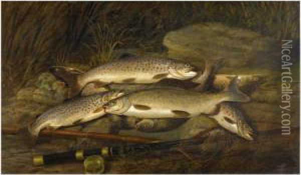 The Day's Catch Oil Painting - Thomas G. Targett
