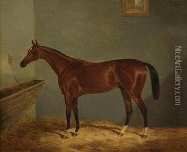 Horse In A Stable Oil Painting - Henry Chase