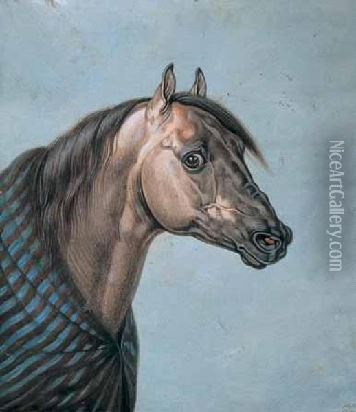 Cheval Arabe Oil Painting - Carl Hess