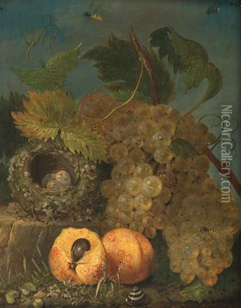 Stillleben Mit Trauben, Bienen Vogelnest U. Pfirsichen Oil Painting - Johann Kneipp