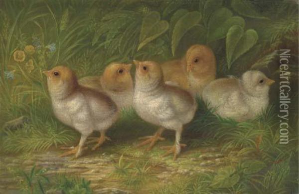 Expecting Chicks Oil Painting - Arthur Fitzwilliam Tait