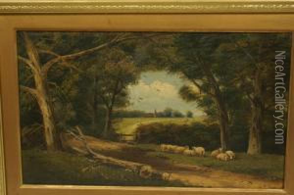 Sheep Resting, Beneath Trees Oil Painting - John Morris
