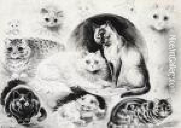 Varieties Of Cats Oil Painting - Louis William Wain