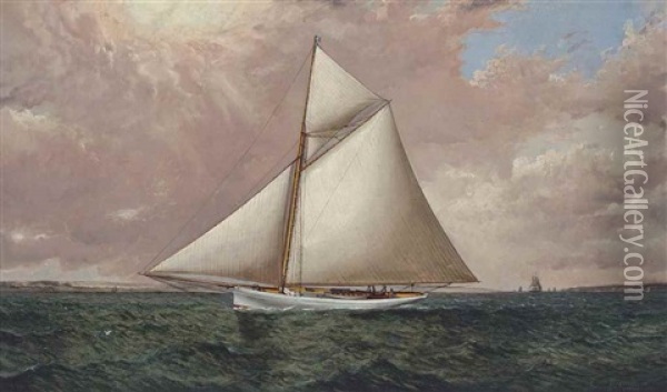 A Gaff Rigged Racing Cutter Oil Painting - James Edward Buttersworth