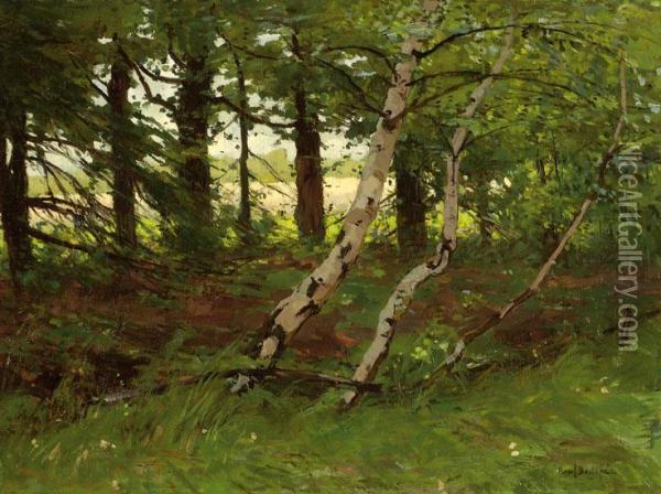 A View Of A Forest Oil Painting - Paul Bodifee