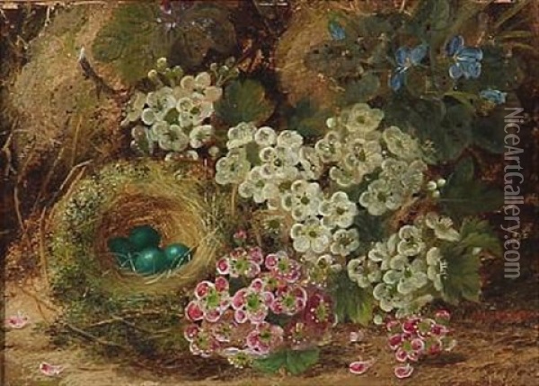 Still Life With Flowers And Eggs In A Nest Oil Painting - Oliver Clare