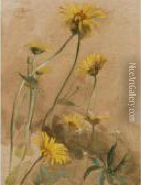Yellow Daisies Oil Painting - Edwin John Alexander