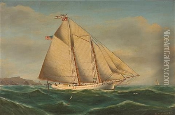 Sea Foam, A Schooner Outside Of The San Francisco Bay With The Farallones Beyond Oil Painting - William Alexander Coulter