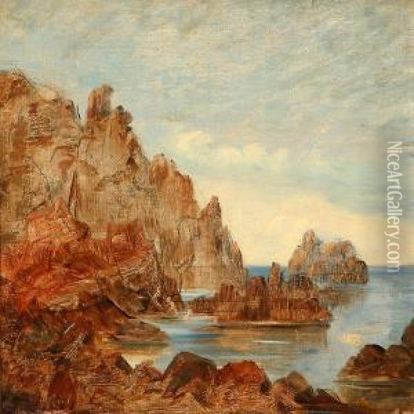 Coastal Scene From Capri, Italy Oil Painting - Jorgen Roed