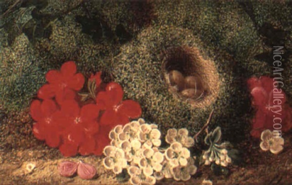 Still Life With Bird's Nest And Blossom Oil Painting - George Clare