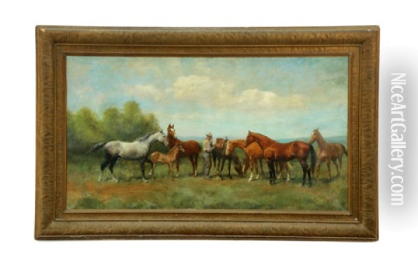 Among The Herd Oil Painting - Paul Giovanni Wickson