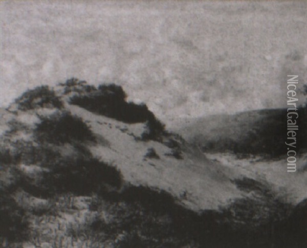 Sand Dunes Near Swansea Oil Painting - Harry William Adams