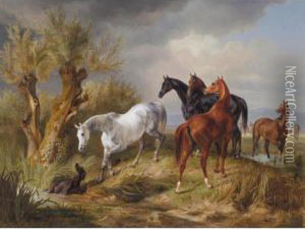 Vollbluter Auf Der Weide (thoroughbreds In A Pasture) Oil Painting - Adam Albrecht