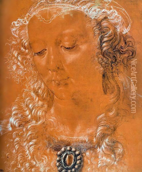 Head of a Woman 2 Oil Painting - Andrea Del Verrocchio