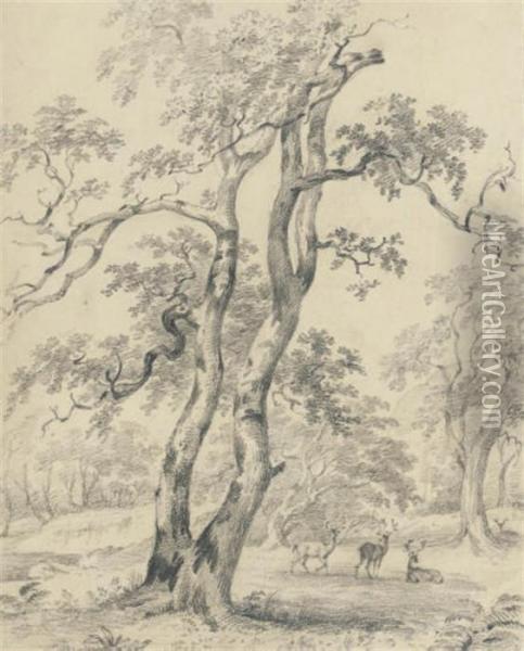 Deer In A Parkland Landscape Oil Painting - Barend Cornelis Koekkoek