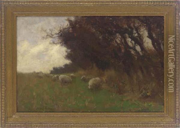 Sheep Grazing Beside A Wood Oil Painting - Terrick John Williams