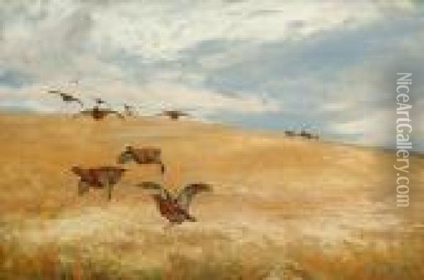 Grouse In Flight Over A Cornfield Oil Painting - David Farquharson