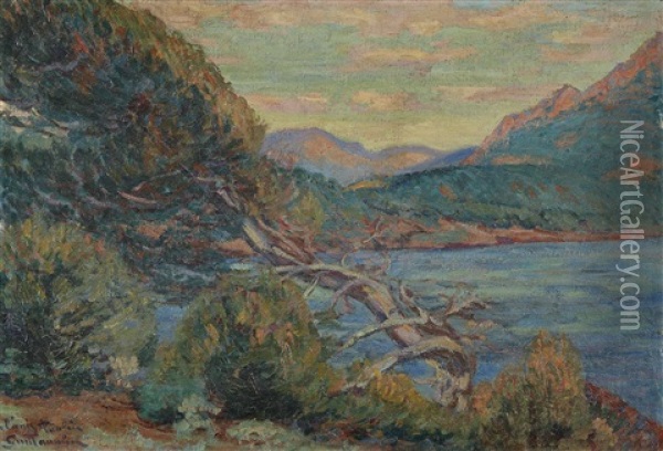 Paysage De Provence Oil Painting - Armand Guillaumin