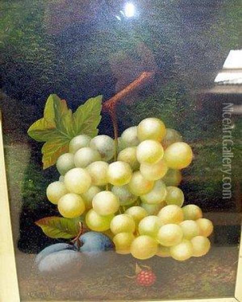 Still Life Study With Green Grapes And Plums Oil Painting - Carl Friedrich H. Werner