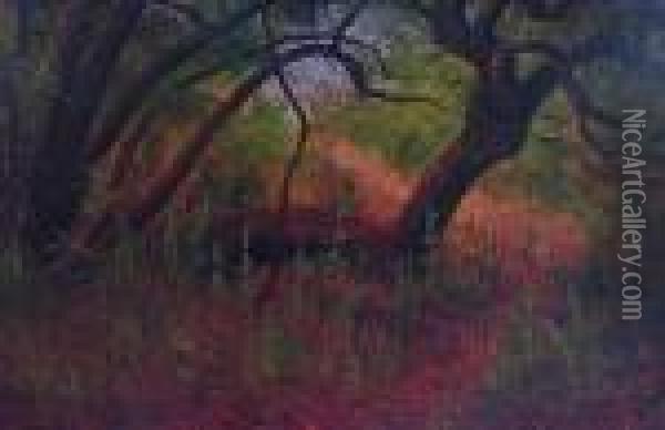 The Eccentric Maple, Near Lake Geneva, Wisconsin, 1911 Oil Painting - James Everett Stuart