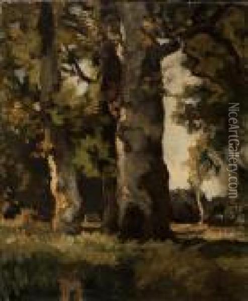 Trees Along The Water's Edge Oil Painting - Theophile Emile Achille De Bock