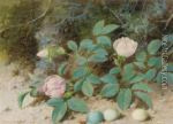 Pink Roses On A Mossy Bank Oil Painting - William Cruickshank